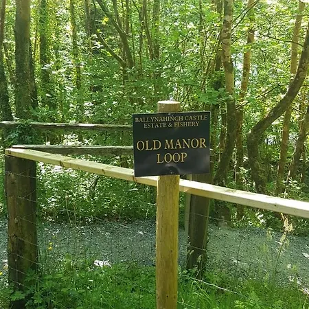 No 9 Old Manor Ballynahinch Holiday home